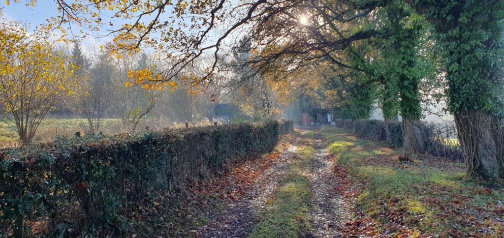 Lot: 44477 - LAND WITH STABLES AND DERELICT BARN - Path